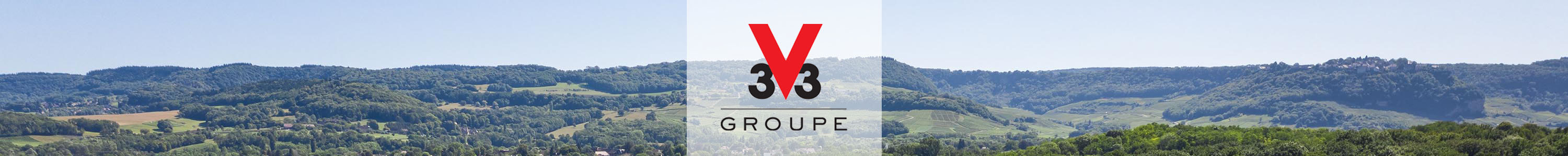 V33 Group