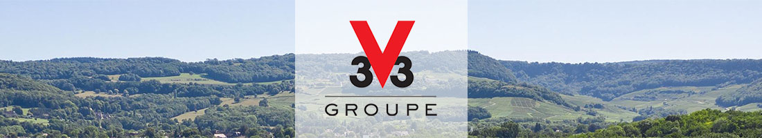 V33 Group